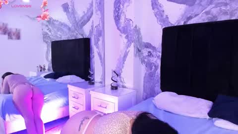     online show from March 2026 04:54:01 PM