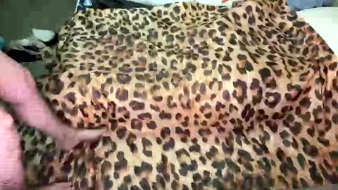 Breezy Xo online show from November 2025 02:35:01 AM