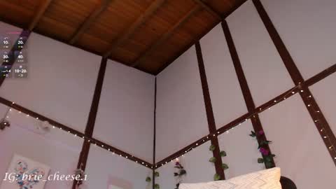 Snapshot of brie_cheese1 chatting on July 2026 04:39:33 PM Brie Ill be away November 2829 and 30. See u on Sunday for more fun online show from July 2026 04:39:33 PM