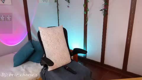 Snapshot of brie_cheese1 chatting on July 2026 08:52:02 PM Brie Ill be away November 2829 and 30. See u on Sunday for more fun online show from July 2026 08:52:02 PM