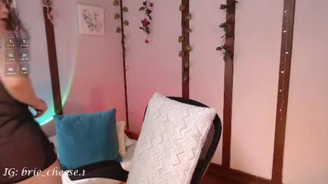 Snapshot of brie_cheese1 chatting on August 2026 03:14:02 PM Brie Ill be away November 2829 and 30. See u on Sunday for more fun online show from August 2026 03:14:02 PM