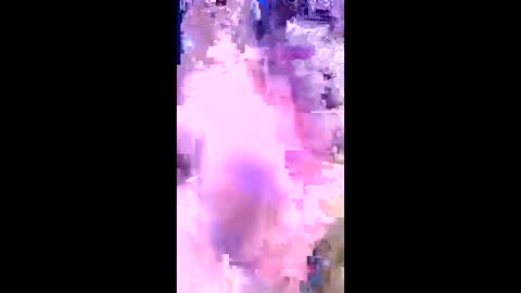 britzchris online show from March 2026 10:10:02 AM