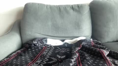 Snapshot of brownbbc420 chatting on December 2024 04:49:02 PM BrownBBC420 online show from December 2024 04:49:02 PM