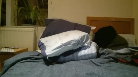 hardForYou hard new cum finger online show from October 2025 08:40:02 PM