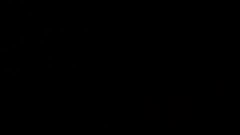 Sasha Brunette online show from March 2025 02:02:02 PM