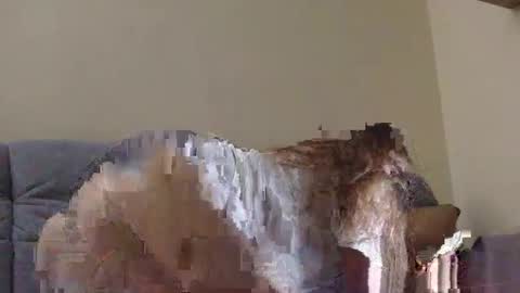 Snapshot of brutecia chatting on September 2025 06:42:01 PM brutecia online show from September 2025 06:42:01 PM