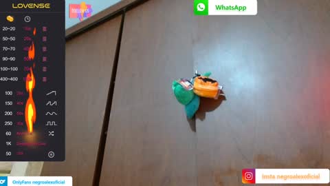 Enjoy the best muscle straws   online show from January 2025 02:10:01 AM