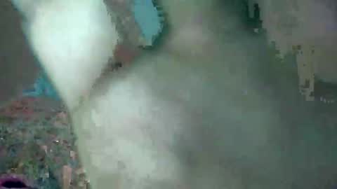 bubbabobo online show from February 2026 10:41:02 AM