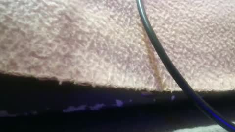 bubumaci53 online show from November 2025 10:47:02 PM