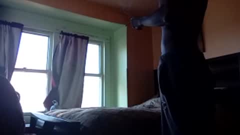 buddylovex online show from November 2025 04:39:02 PM