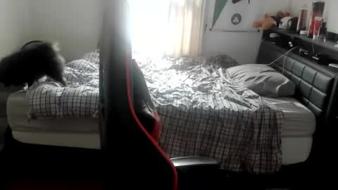 buffsexyman24 online show from March 2025 08:05:02 PM