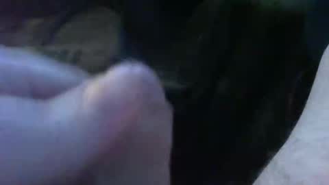 Snapshot of bullemoe chatting on September 2025 05:23:02 AM bullemoe online show from September 2025 05:23:02 AM
