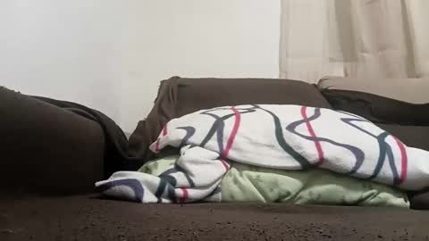 bullspain27266272 online show from February 2026 11:20:02 PM