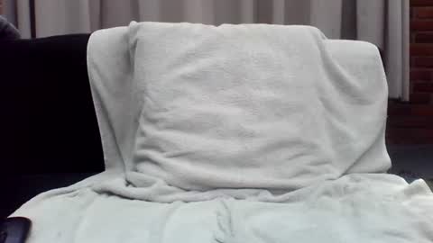 Dutch cock online show from July 2026 11:58:01 AM