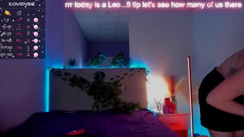 BunnyShows online show from October 2025 05:57:01 PM