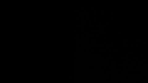 Jess online show from January 2025 06:43:02 PM