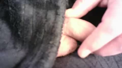 Snapshot of burnside13 chatting on March 2026 07:29:01 PM Hamish online show from March 2026 07:29:01 PM