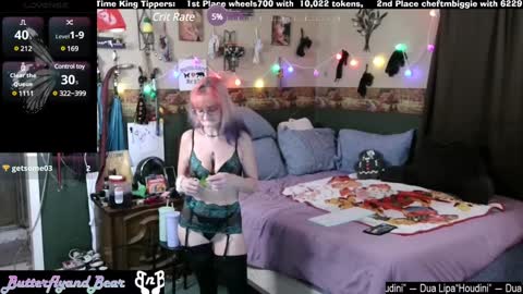 Butterfly and Bear online show from January 2025 05:13:02 AM