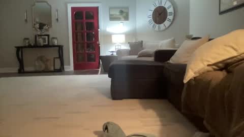 Snapshot of bwc2465 chatting on February 2025 04:03:01 AM bwc2465 online show from February 2025 04:03:01 AM