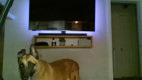 Snapshot of bwc44u chatting on October 2025 02:07:01 AM bwc44u online show from October 2025 02:07:01 AM