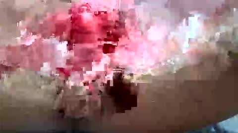 Big white dick online show from April 2026 06:00:02 AM