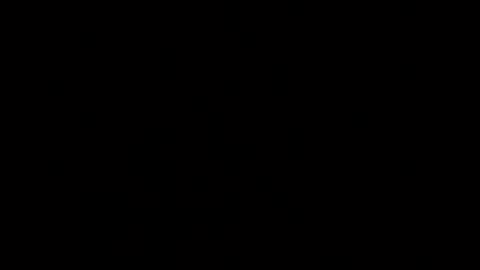 Cairo online show from December 2024 11:55:01 AM
