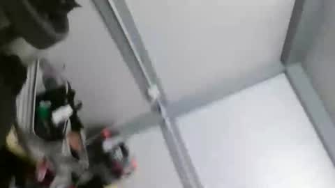 Forest online show from December 2025 09:51:01 AM