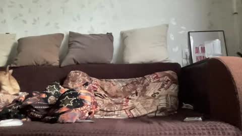 Anna online show from June 2026 12:22:01 PM