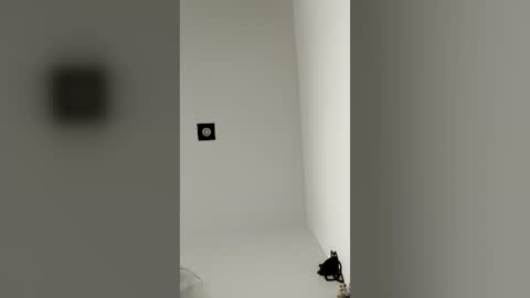 Snapshot of callme_arno chatting on June 2026 11:20:01 AM Callme arno online show from June 2026 11:20:01 AM