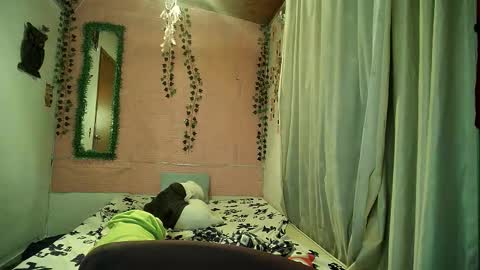 paula online show from February 2026 02:28:02 AM