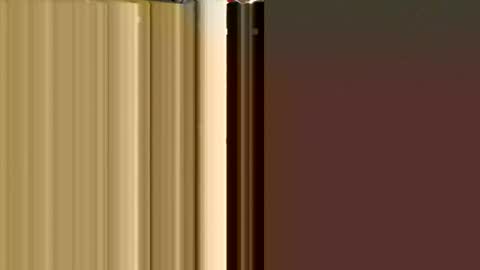 MxrtxnSxl online show from December 2024 02:06:02 PM