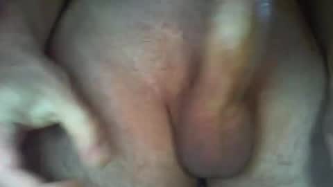 calypso online show from October 2025 02:08:02 PM