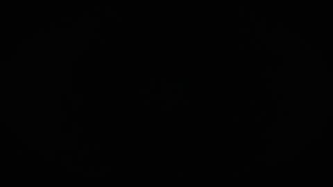 Charly online show from April 2026 10:57:02 AM