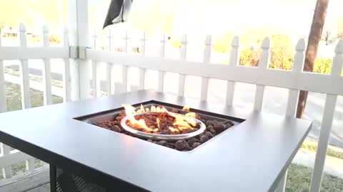 Chillaxin lets talk  online show from December 2024 02:23:02 PM