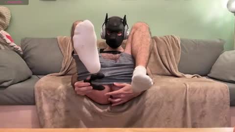 Snapshot of camdogfr chatting on December 2024 02:35:02 PM camdogfr online show from December 2024 02:35:02 PM