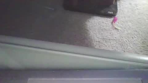 Snapshot of cammyman6900 chatting on September 2025 04:01:01 AM cammyman6900 online show from September 2025 04:01:01 AM