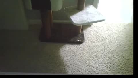 Snapshot of cammyman6900 chatting on September 2025 04:47:01 AM cammyman6900 online show from September 2025 04:47:01 AM