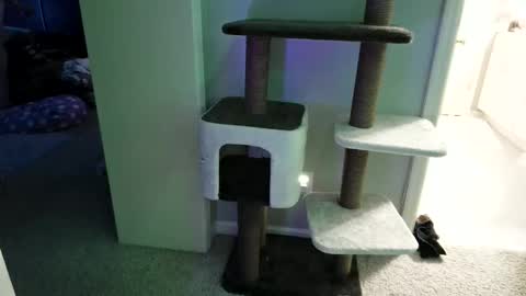 cammyman6900 online show from May 2026 04:31:01 AM