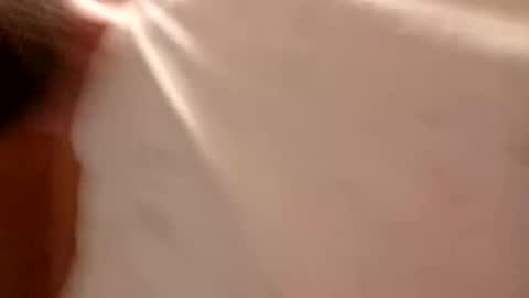 Snapshot of campas59100 chatting on February 2026 11:17:01 PM campas59100 online show from February 2026 11:17:01 PM