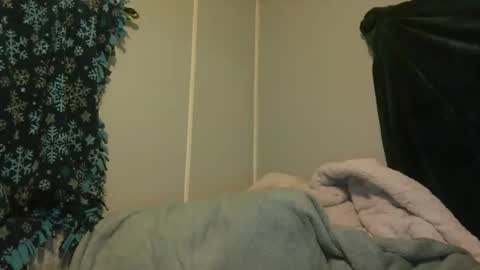 Snapshot of candianman86 chatting on May 2026 11:30:02 AM candianman86 online show from May 2026 11:30:02 AM