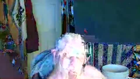 canoelicker69 online show from December 2025 08:24:02 PM