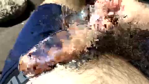 captainbalboa online show from April 2026 08:50:02 AM