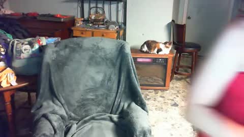 Snapshot of carleyquinn42183 chatting on December 2024 03:47:02 AM Carley online show from December 2024 03:47:02 AM