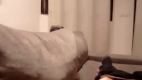 Snapshot of carlitito1 chatting on October 2025 05:35:01 PM carlitito1 online show from October 2025 05:35:01 PM