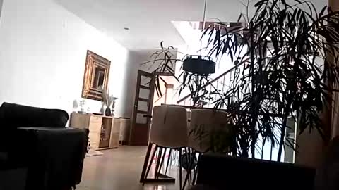 Snapshot of carlitito1 chatting on April 2026 09:16:01 AM carlitito1 online show from April 2026 09:16:01 AM