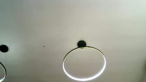 Carlos online show from February 2026 08:35:01 AM