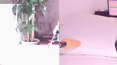 Carol online show from April 2026 11:13:02 AM