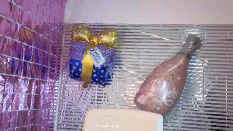 Char online show from October 2025 11:05:01 PM