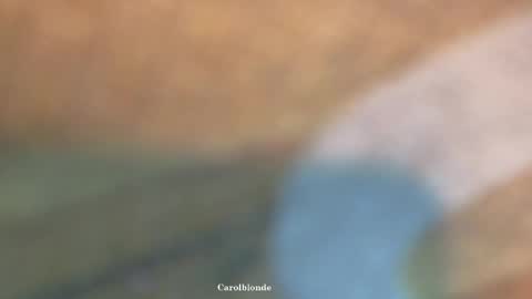 Char online show from April 2026 12:24:01 AM