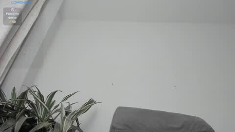 carolina_t online show from January 2025 01:23:02 AM